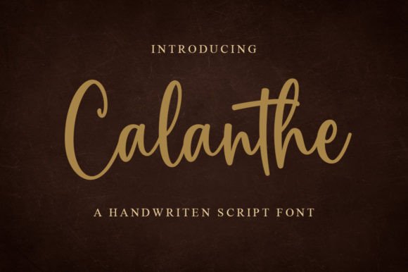 Calanthe: The Handwritten Font That Elevates Campaign Design