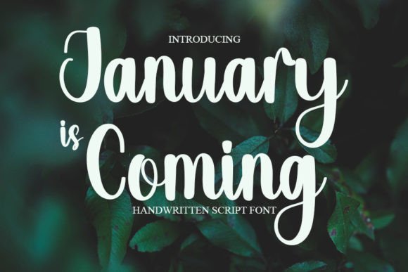 January is Coming Font Review