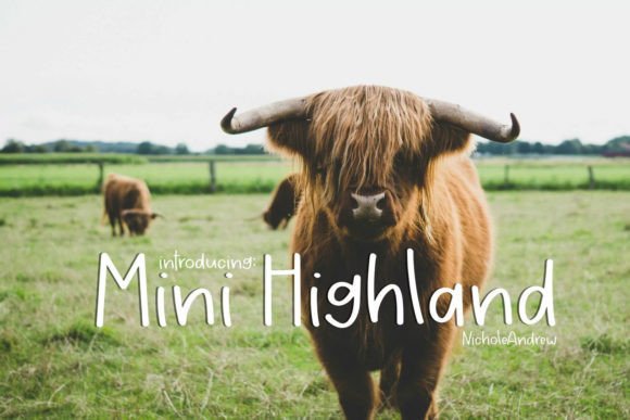 Mini Highland: The Handwritten Font That Boosts Campaign Clarity