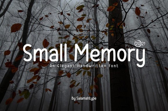 Small Memory Font Review for Social Campaigns